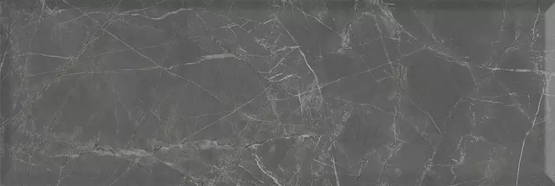 Настенная плитка «Kerama Marazzi» Буонарроти Matt. 89,5x30 13108R серый тёмный
Настенная плитка «Kerama Marazzi» Буонарроти Matt. 89,5x30 13108R серый тёмный