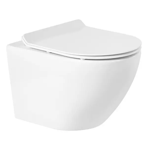 Подвесной унитаз безободковый «Belbagno» Sfera-R BB046CHR белый (BB2111SC) с сиденьем дюропласт с микролифтом
Подвесной унитаз безободковый «Belbagno» Sfera-R BB046CHR белый (BB2111SC) с сиденьем дюропласт с микролифтом