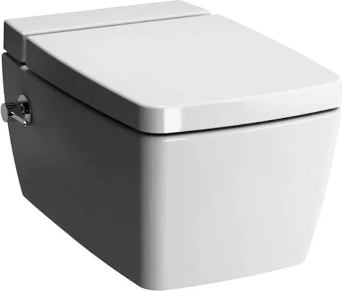 Подвесной унитаз безободковый «Vitra» Metropole 7672B003-1687 с биде (Metropole 90-003-009) белый с сиденьем дюропласт с микролифтом белое
Подвесной унитаз безободковый «Vitra» Metropole 7672B003-1687 с биде (Metropole 90-003-009) белый с сиденьем дюропласт с микролифтом белое