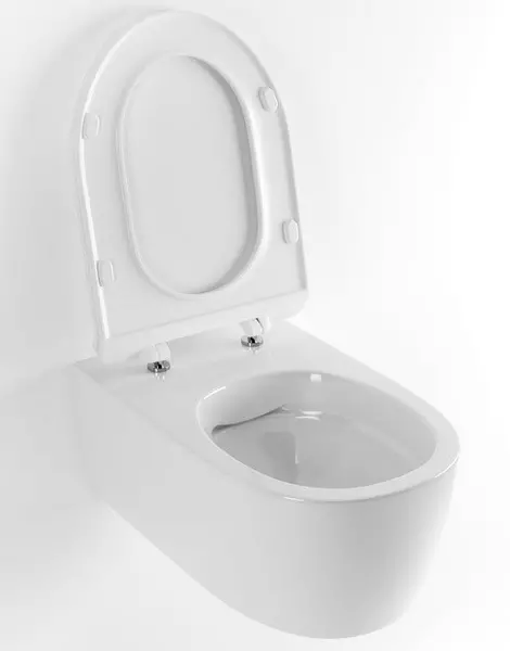 Подвесной унитаз безободковый «Excellent» Doto Pure Rim 54 CEEX.1404.545.WH белый с сиденьем дюропласт с микролифтом белое
Подвесной унитаз безободковый «Excellent» Doto Pure Rim 54 CEEX.1404.545.WH белый с сиденьем дюропласт с микролифтом белое