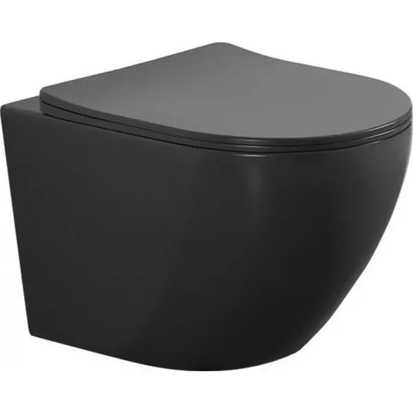 Подвесной унитаз безободковый «Aquanet» Cetus 2.0 W MB 279091 черный с сиденьем дюропласт с микролифтом чёрное
Подвесной унитаз безободковый «Aquanet» Cetus 2.0 W MB 279091 черный с сиденьем дюропласт с микролифтом чёрное