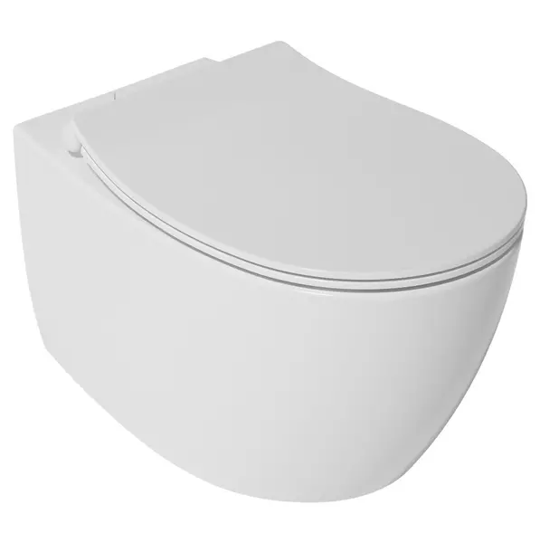 Подвесной унитаз безободковый «Isvea» Sentimenti Neo 10AR02010SV (40D80200I-S) белый с сиденьем дюропласт с микролифтом белое
Подвесной унитаз безободковый «Isvea» Sentimenti Neo 10AR02010SV (40D80200I-S) белый с сиденьем дюропласт с микролифтом белое