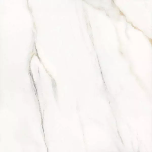 Напольная плитка «Eurotile Ceramica» Calacatta Gold 940 Polish. 60x60 GrK00019504 белый
Напольная плитка «Eurotile Ceramica» Calacatta Gold 940 Polish. 60x60 GrK00019504 белый