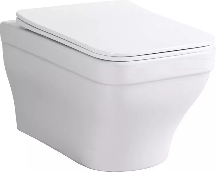 Подвесной унитаз безободковый «Aquanet» Elegant W 280960 белый с сиденьем дюропласт с микролифтом белое
Подвесной унитаз безободковый «Aquanet» Elegant W 280960 белый с сиденьем дюропласт с микролифтом белое