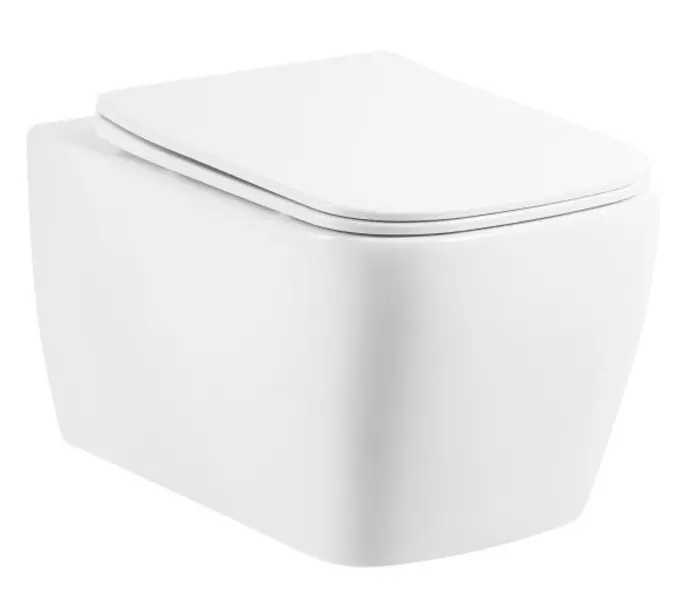 Подвесной унитаз безободковый «Belbagno» Veneto BB132CHR/BB132SC белый с сиденьем дюропласт с микролифтом белое
Подвесной унитаз безободковый «Belbagno» Veneto BB132CHR/BB132SC белый с сиденьем дюропласт с микролифтом белое