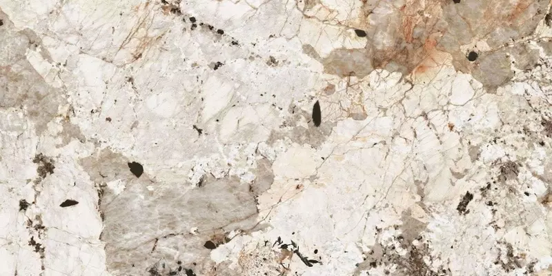 Напольная плитка «Casa Dolce Casa» Nature Mood Tundra Glossy 120x60 774905 бежевый
Напольная плитка «Casa Dolce Casa» Nature Mood Tundra Glossy 120x60 774905 бежевый