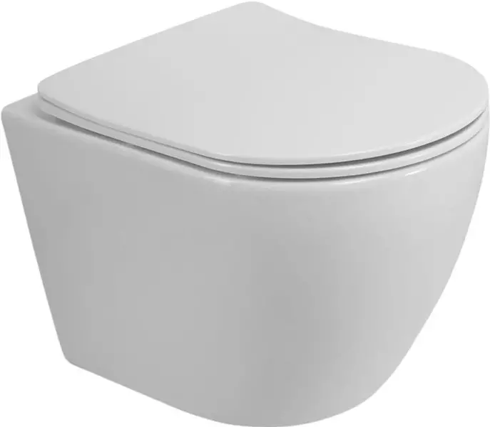 Подвесной унитаз безободковый «Art&Max» Parma AM2381CHRV/SC 00-00005028 белый с сиденьем дюропласт с микролифтом белое
Подвесной унитаз безободковый «Art&Max» Parma AM2381CHRV/SC 00-00005028 белый с сиденьем дюропласт с микролифтом белое