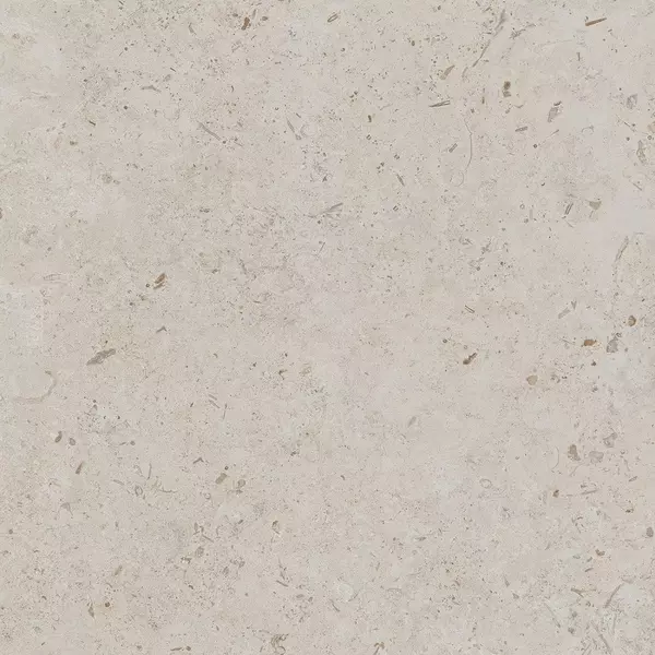 Напольная плитка «Kerama Marazzi» Про Лаймстоун Matt. 60x60 DD641120R бежевый тёмный
Напольная плитка «Kerama Marazzi» Про Лаймстоун Matt. 60x60 DD641120R бежевый тёмный
