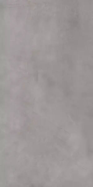 Напольная плитка «Eurotile Ceramica» Continuo 323 Matt. 120x60 01-00108933 dark gray
Напольная плитка «Eurotile Ceramica» Continuo 323 Matt. 120x60 01-00108933 dark gray