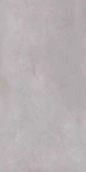 Напольная плитка «Eurotile Ceramica» Continuo 322 Matt. 120x60 01-00108934 light gray
Напольная плитка «Eurotile Ceramica» Continuo 322 Matt. 120x60 01-00108934 light gray