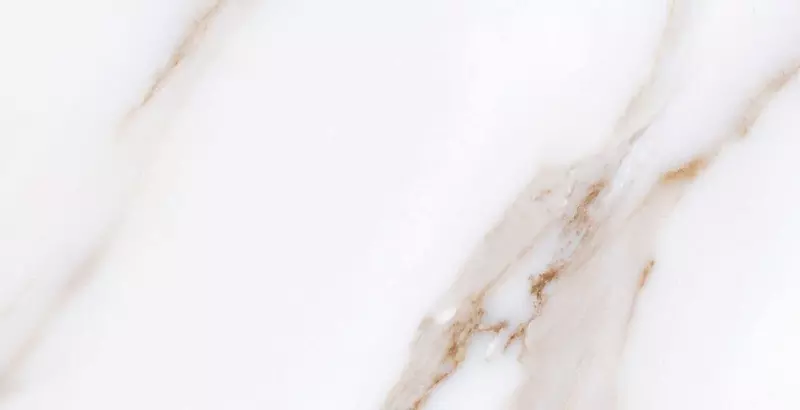 Напольная плитка «Gayafores» Calacatta Gold Matt. 62,5x32 200000000000015732 gold
Напольная плитка «Gayafores» Calacatta Gold Matt. 62,5x32 200000000000015732 gold