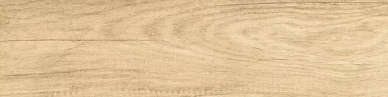Напольная плитка «New Trend» Sunbau Matt. 60,2x15,1 sugar effect GP1560SAB11 oak
Напольная плитка «New Trend» Sunbau Matt. 60,2x15,1 sugar effect GP1560SAB11 oak