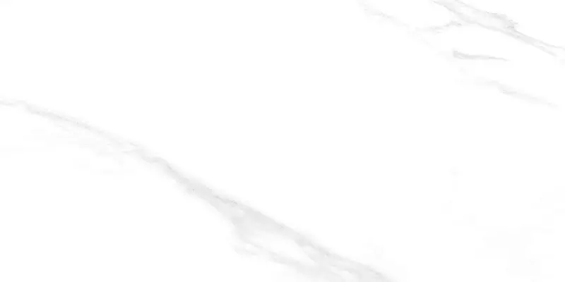 Напольная плитка «Ceradim» Carrara Excellent Matt. 120x60 х9999304538 silver
Напольная плитка «Ceradim» Carrara Excellent Matt. 120x60 х9999304538 silver