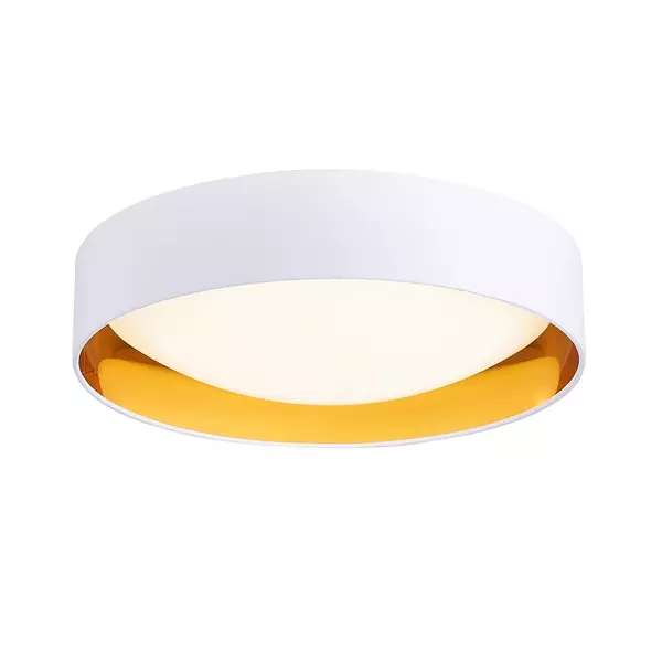 SLE201122-01 Светильник потолочный Белый, Золотистый/Белый LED 1*24W 4000K ORBIO · Orbio, Evoluce, SLE201122-01
SLE201122-01 Светильник потолочный Белый, Золотистый/Белый LED 1*24W 4000K ORBIO · Orbio, Evoluce, SLE201122-01
