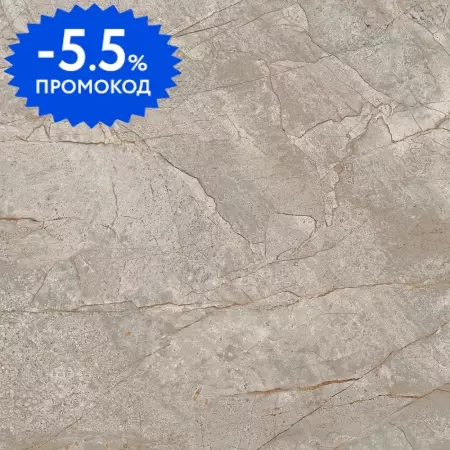 Напольная плитка «Atlas Concorde (Russia)» Empire Lapp. 60x60 610015000625 silver root
Напольная плитка «Atlas Concorde (Russia)» Empire Lapp. 60x60 610015000625 silver root