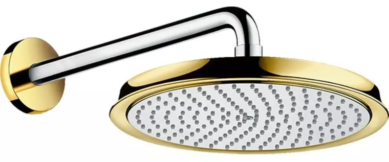 Верхний душ «Hansgrohe» Raindance Classic 27424090 хром/золото