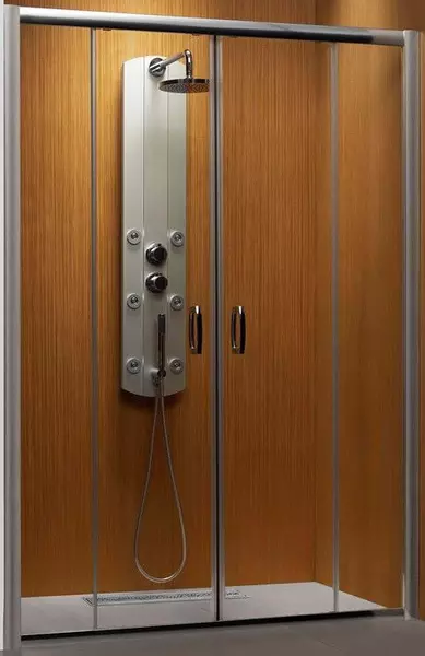 

Душевая дверь «Radaway» Premium Plus DWD 160 прозрачная/хром