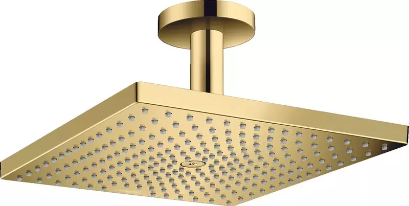 

Верхний душ «Hansgrohe» Raindance E 26250990 полированное золото