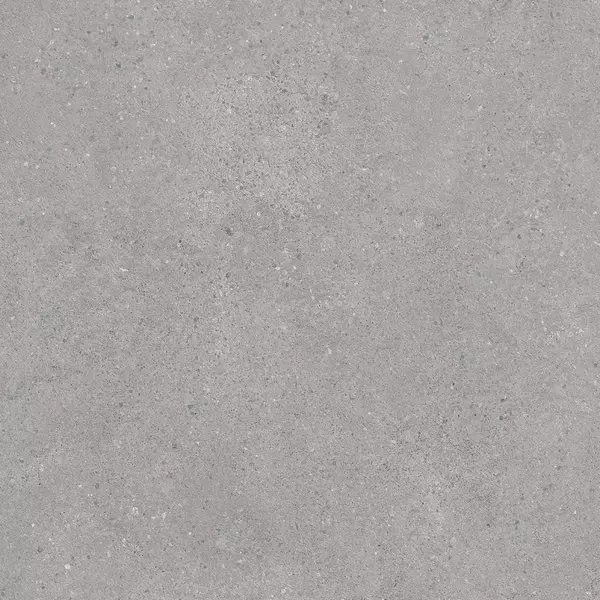 

Напольная плитка «Kerama Marazzi» Фондамента 60x60 DL600900R серый светлый