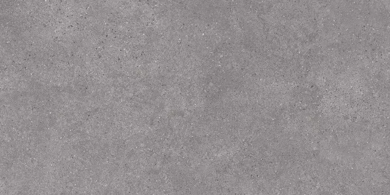 

Напольная плитка «Kerama Marazzi» Фондамента 238,5x119,5 DL590100R серый