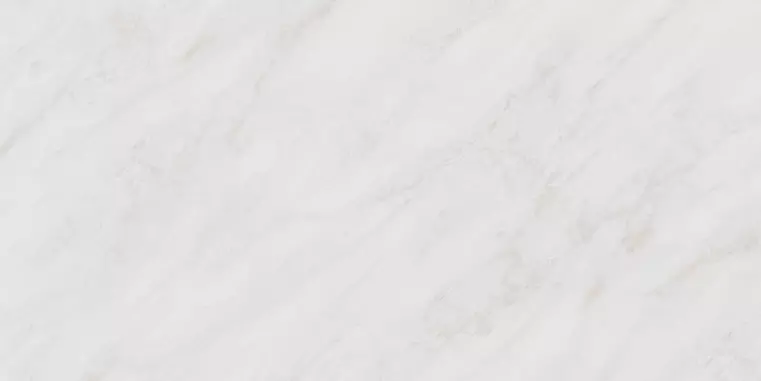 

Напольная плитка «Kerama Marazzi» Парнас 160x80 SG570200R светлый