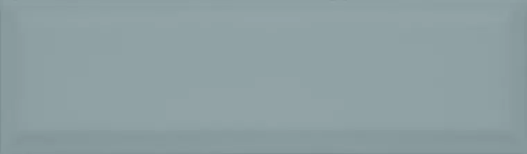 

Настенная плитка «Kerama Marazzi» Аккорд 28,5x8,5 9013 зелёный тёмный