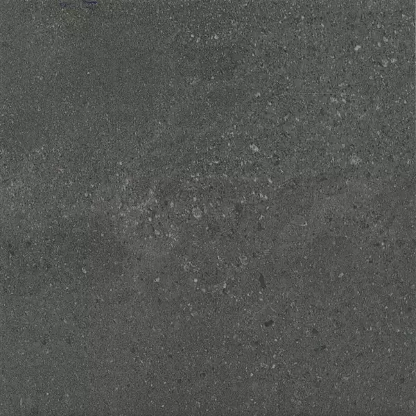 

Напольная плитка «Kerama Marazzi» Матрикс Matt. 20x20 SG1592N антрацит
