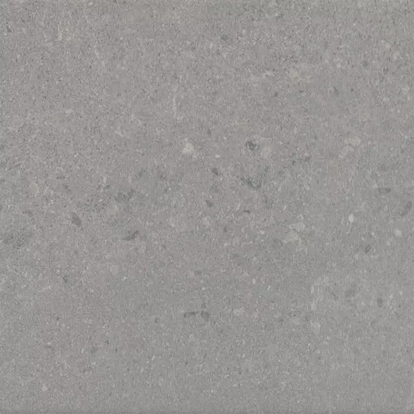 

Напольная плитка «Kerama Marazzi» Матрикс Matt. 20x20 SG1590N серый