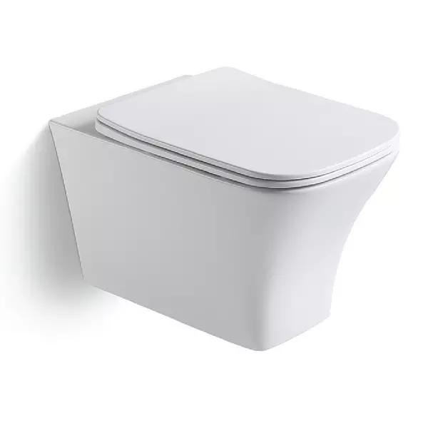 

Подвесной унитаз безободковый «Black & White» W-723 Rimless белый с сиденьем дюропласт с микролифтом белое