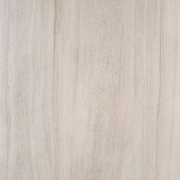 

Напольная плитка «Kerama Marazzi» Якаранда 50,2x50,2 SG450500N бежевый