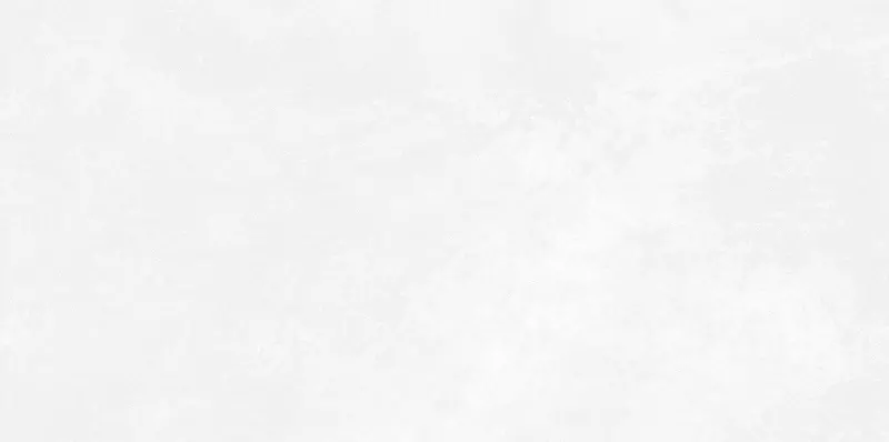 Настенная плитка AltaCera Antre Glossy 50x249 WT9ANR00 white 1080₽