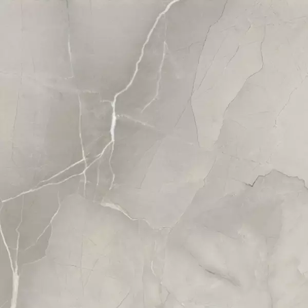 

Напольная плитка «Azteca» Passion Lux 60 Lapp. 60x60 78796619 grey