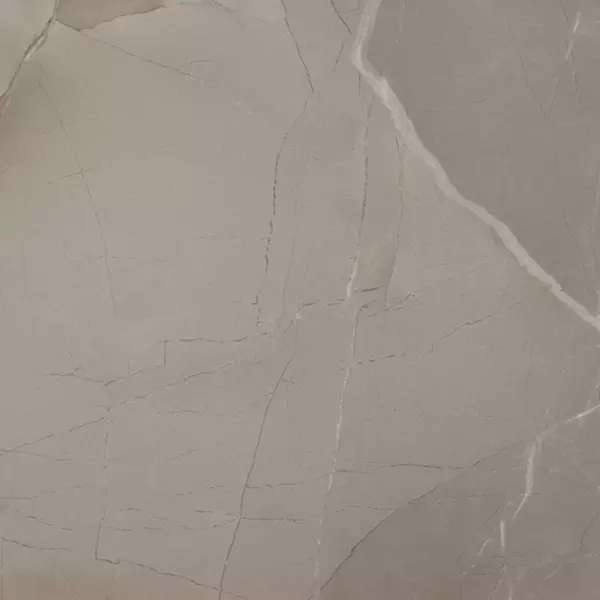 

Напольная плитка «Azteca» Passion Lux 60 Lapp. 60x60 78796621 taupe