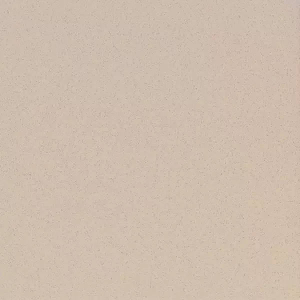 

Напольная плитка «Estima» Standard ST 17 Polish. 60x60 полированная 15397 бежевый