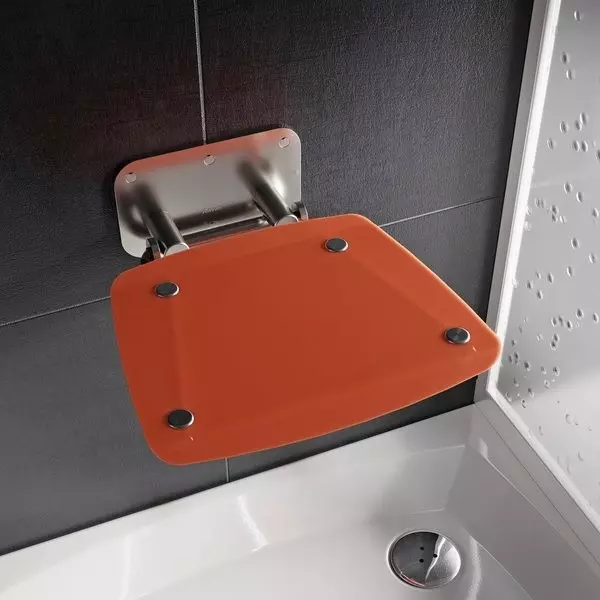 

Сиденье «Ravak» Ovo-B II нержавеющая сталь, пластик Orange