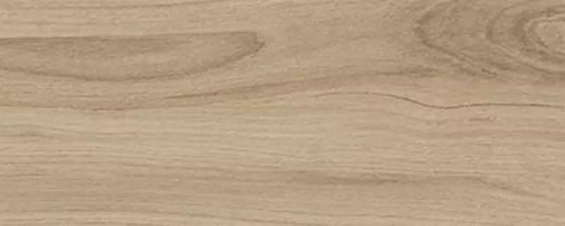 

Настенная плитка «Ceramika Konskie» Narni Matt. 50x20 beige