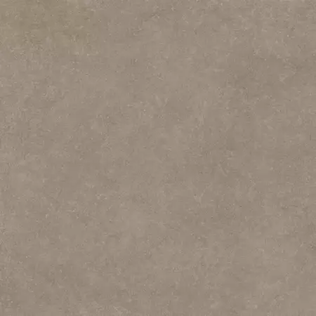 

Напольная плитка «Argenta Ceramica» Light Stone Matt. 60x60 taupe