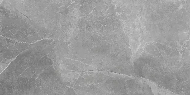 

Напольная плитка «Cerrad» Maxie/Stonemood Matt. 119,7x59,7 silver