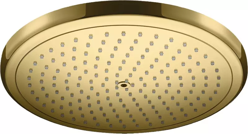 

Верхний душ «Hansgrohe» Croma 26220990 полированное золото