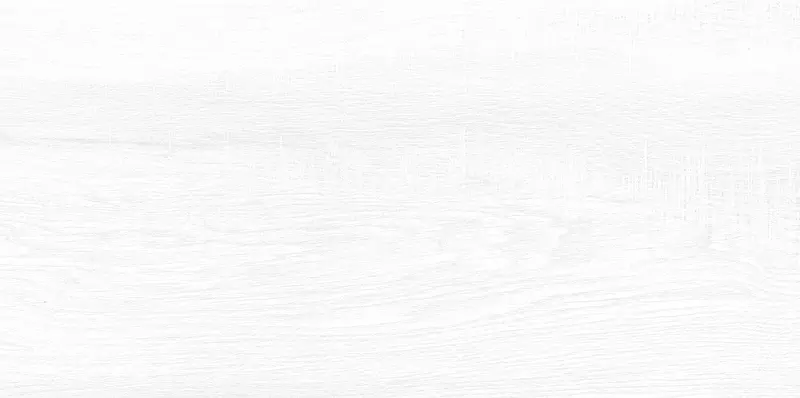 Настенная плитка AltaCera Briole Glossy 50x249 WT9BRE00 white 1295₽