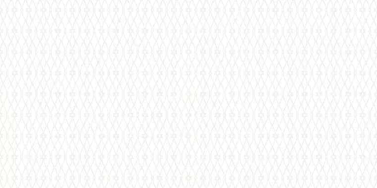 

Настенная плитка «AltaCera» Eleganza 50x24,9 WT9ELZ00 White