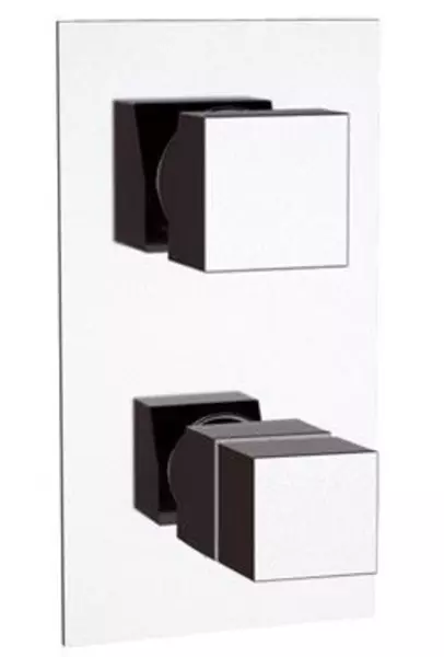 

Смеситель для душа «Remer» Qubika Thermo QT93 с термостатом хром