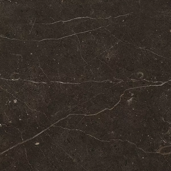 

Напольная плитка «Marmocer» Classic Polish Finished Santa Lurante 60x60 MC062