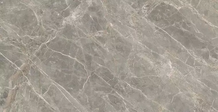 

Напольная плитка «Rex» Etoile Glossy 120x60 761680 Gris