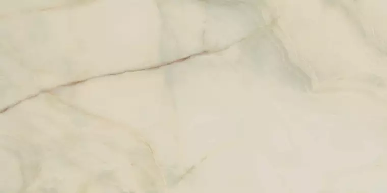 

Напольная плитка «Rex» Les Bijoux De Rex Glossy 120x60 766328 Onyx Blanche