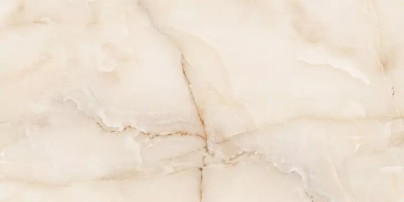 Напольная плитка «Neodom» Onyx Polish. 120x60 CV20190 miel