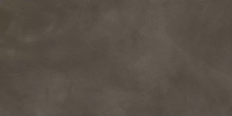 

Настенная плитка «Italon» Terraviva Matt. 80x40 600010002263 moka