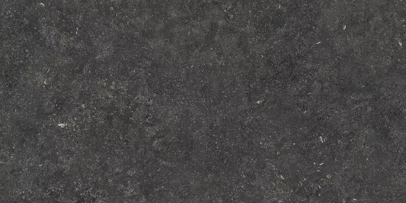 

Напольная плитка «Italon» Room Matt. 120x60 610015000424 black stone