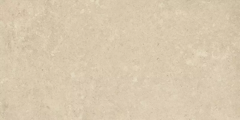 

Напольная плитка «Italon» Room Matt. 120x60 610015000422 beige stone