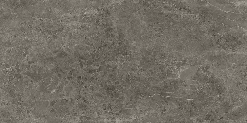 Напольная плитка «Italon» Room Matt. 120x60 610015000423 grey stone